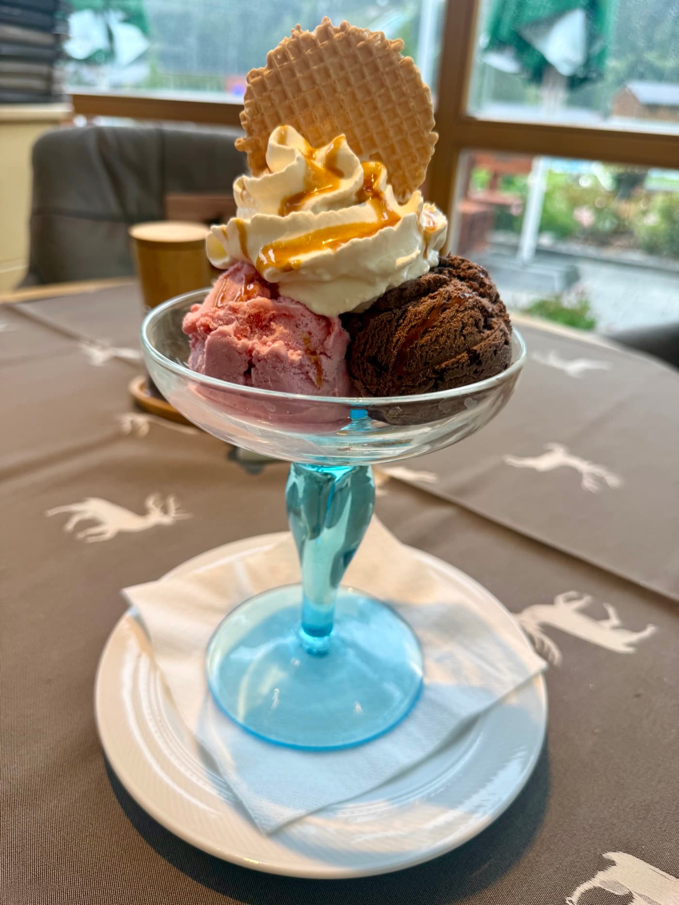 Mixed ice cream with assorted scoops at Zentrum Café Restaurant