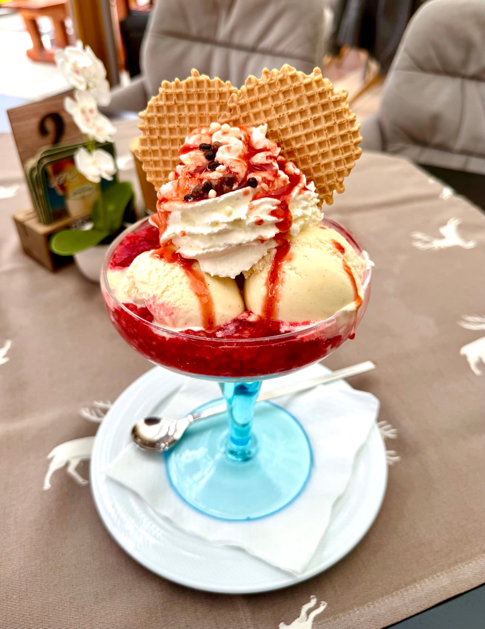 Heiße Liebe sundae — vanilla ice cream with warm raspberries and whipped cream at Zentrum Café Restaurant