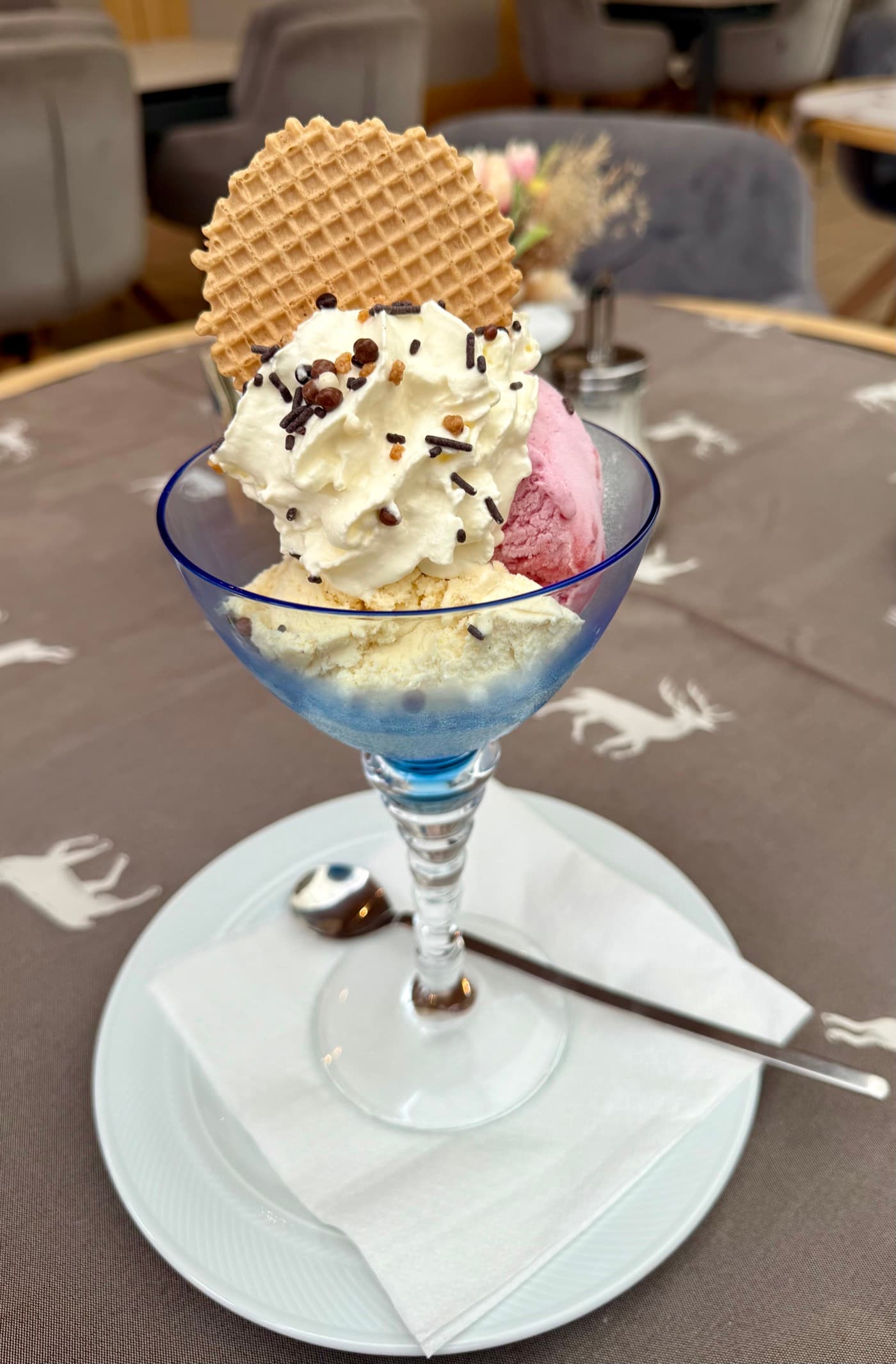 Leckeres Duett — two scoops of ice cream with whipped cream at Zentrum Café Restaurant