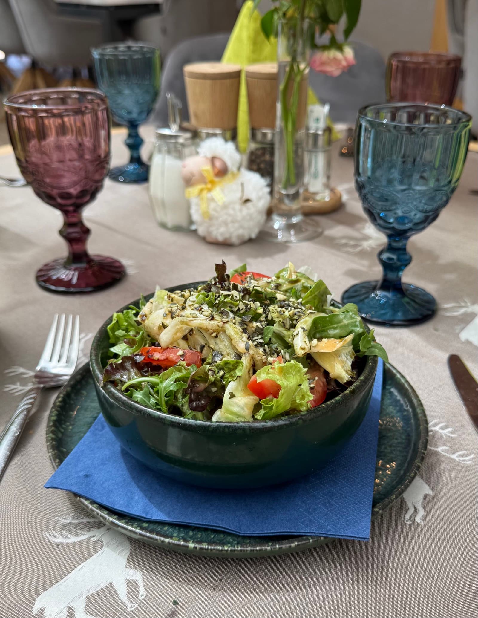 Fresh mixed salad with crisp leaves, tomatoes and house dressing at Zentrum Café Restaurant
